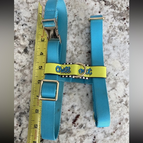 Henri Bendel influencer Dog Leash and Harness set - Picture 8 of 8